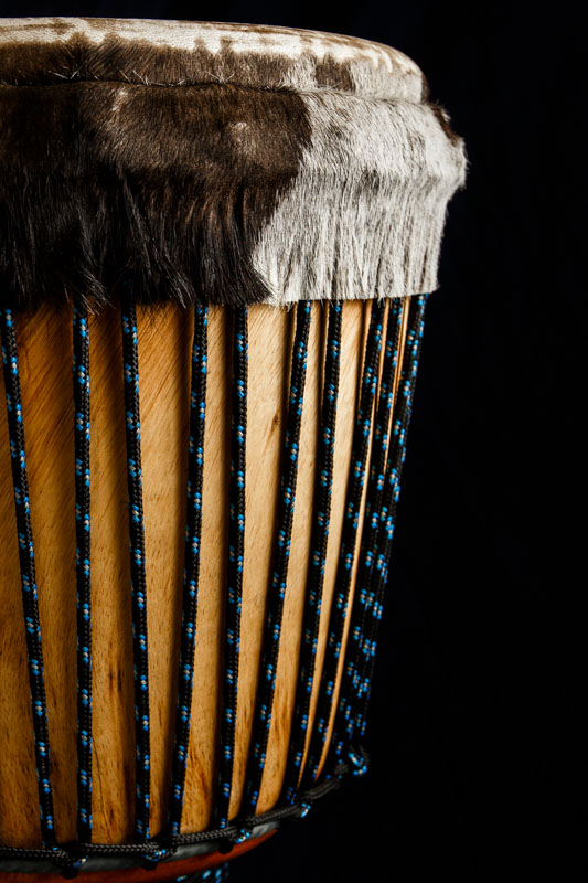 Djembe by The Drum Hut. For sale in the UK.